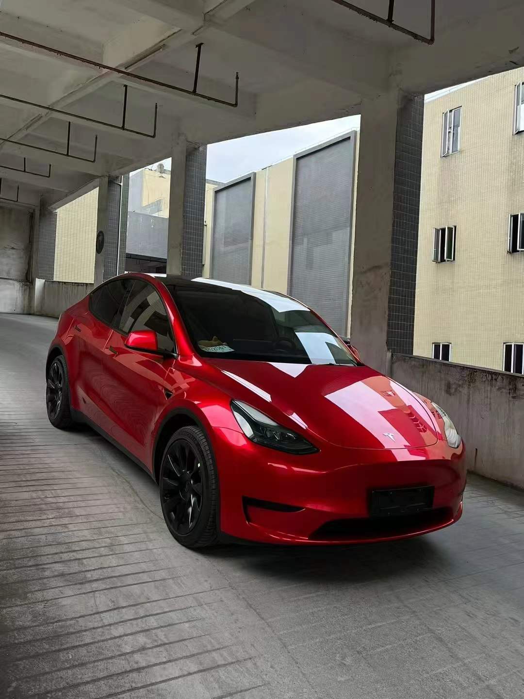 PET Metallic Soul Red