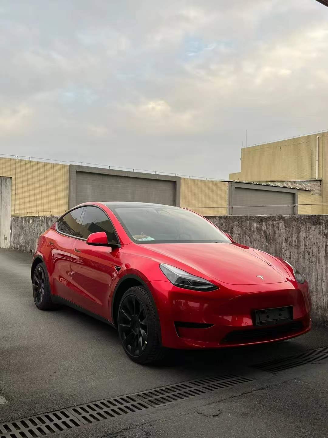 PET Metallic Soul Red