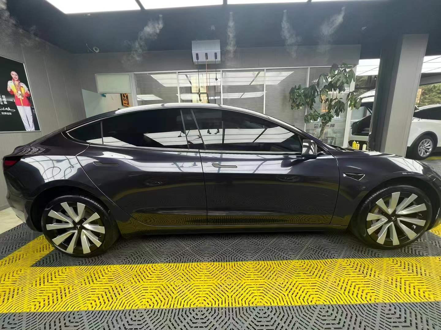PET BMW Carbon Gray Blue