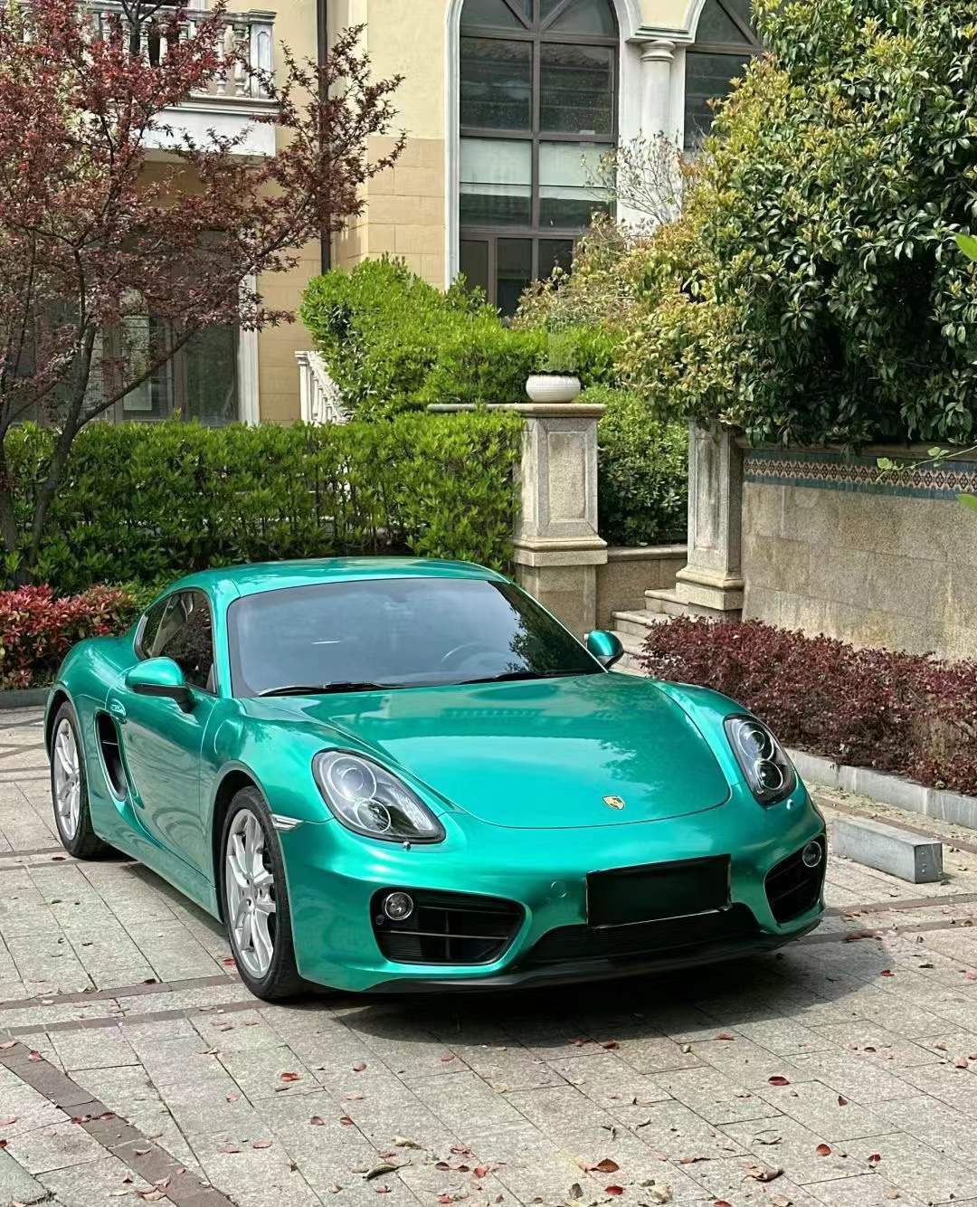 PET Metallic emerald