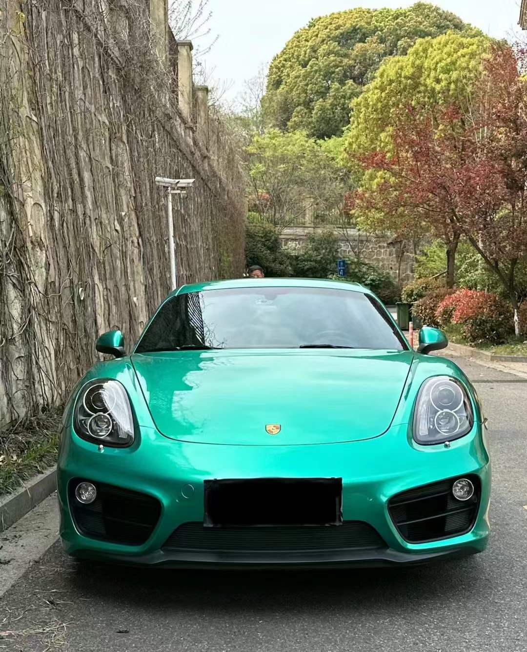 PET Metallic emerald