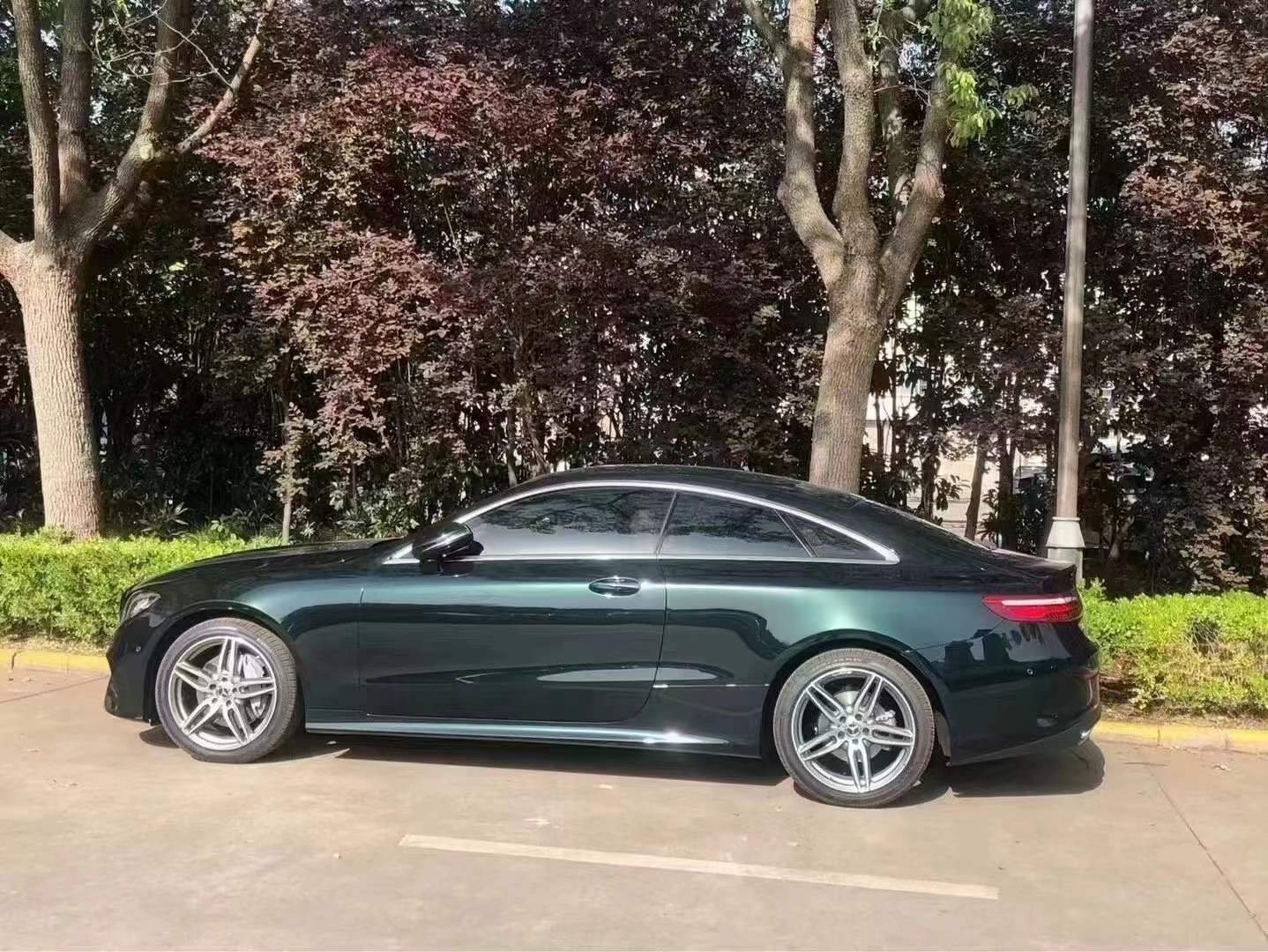 PET Benz Emerald Green