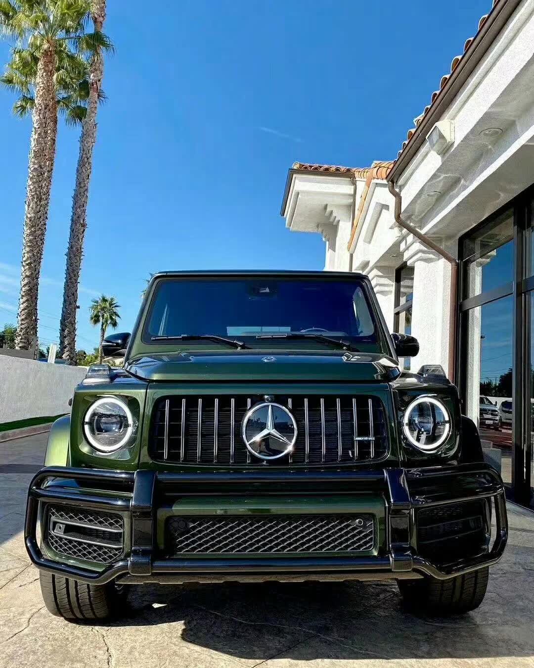 PET Metallic Midnight Green
