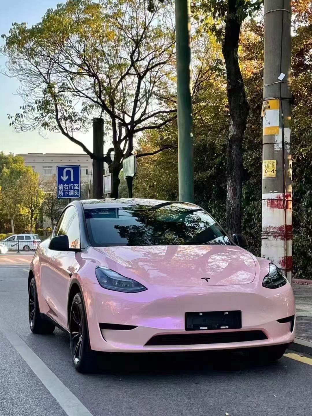 PET Two - tone Rouge Pink