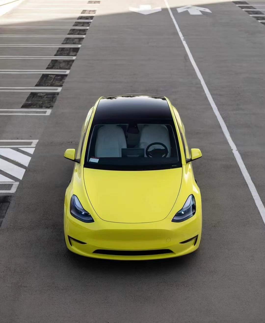 PET Maize Yellow